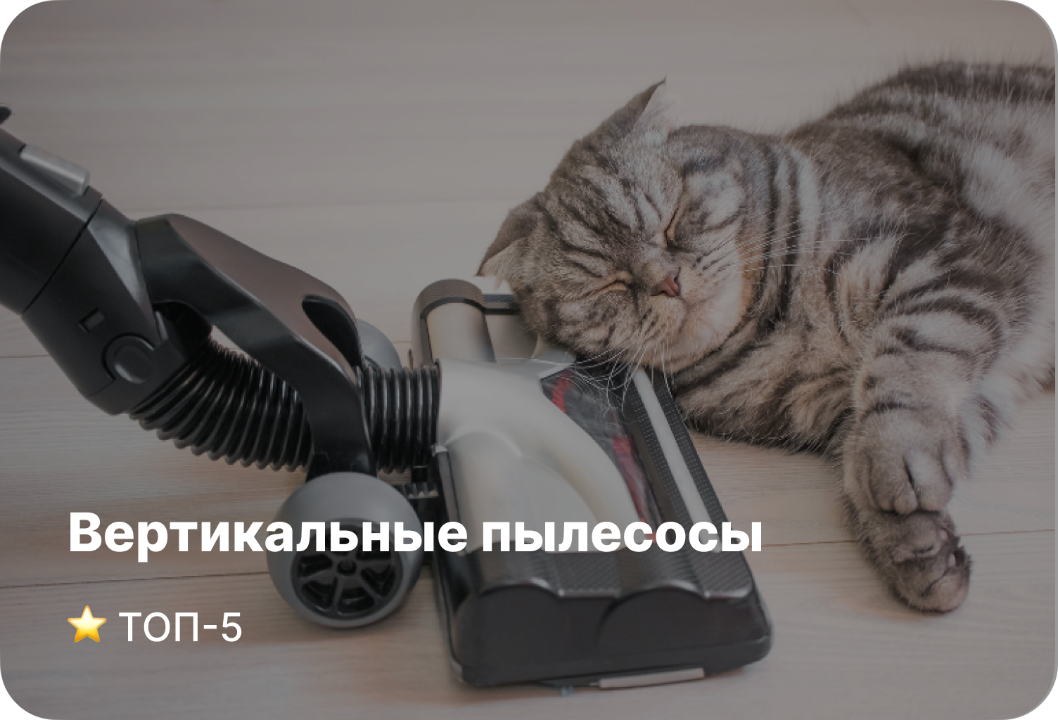 Рейтинг вертикальных пылесосов - ТОП-5