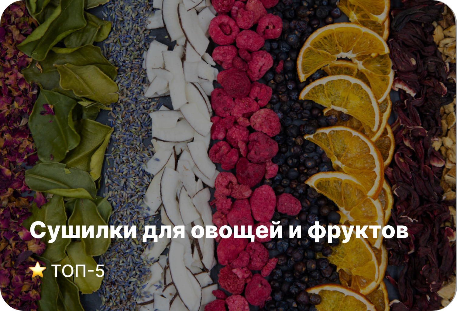 Рейтинг сушилок для овощей и фруктов